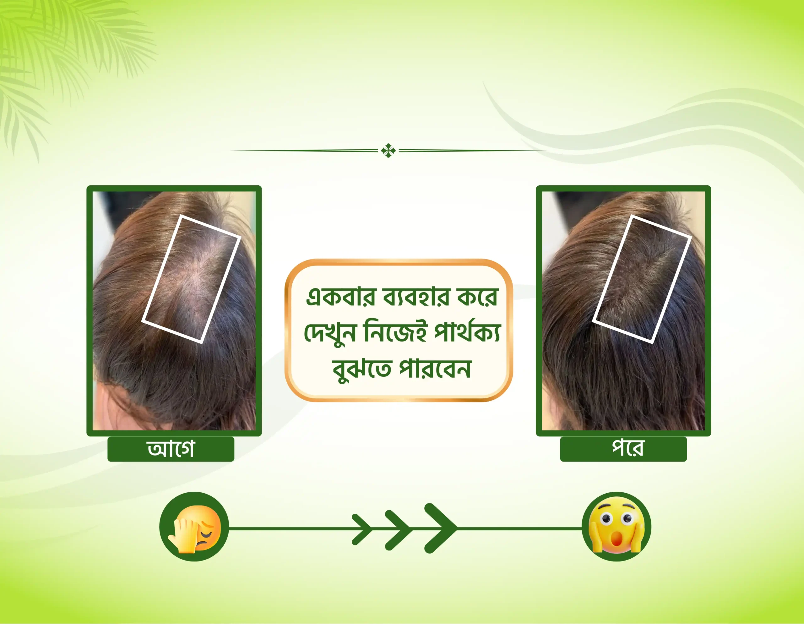 q_20251230_090740_0000